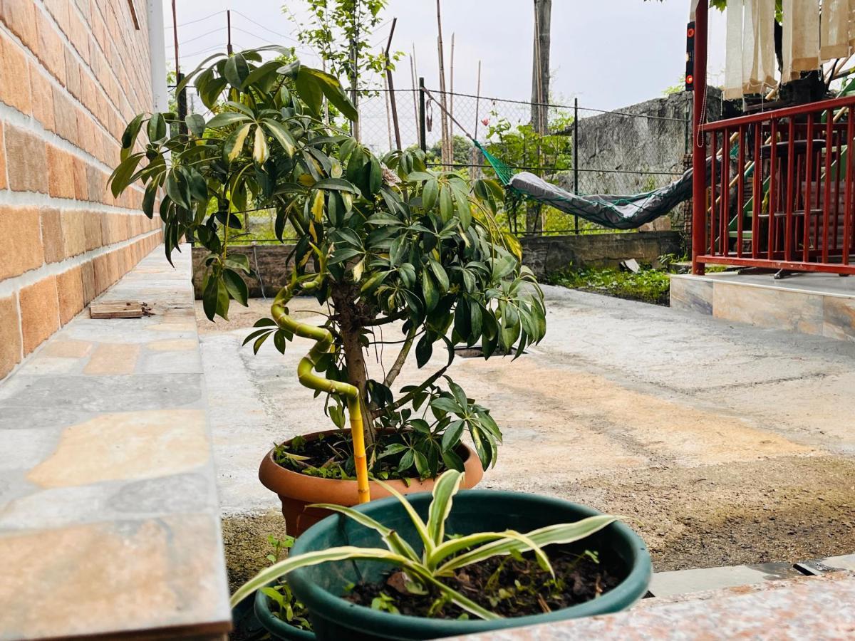 Dato'S Guesthouse Makhinjauri Bagian luar foto