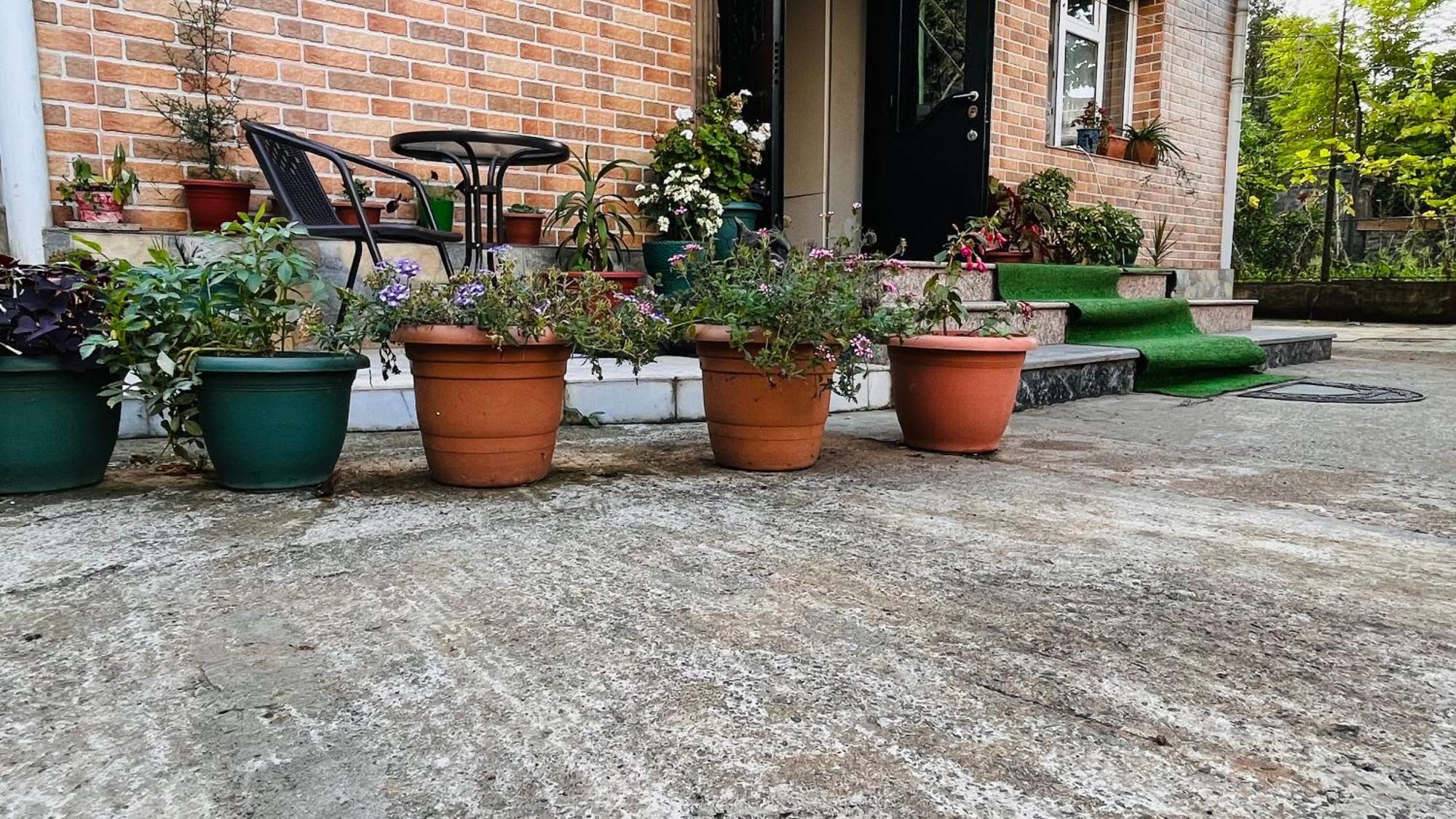 Dato'S Guesthouse Makhinjauri Bagian luar foto